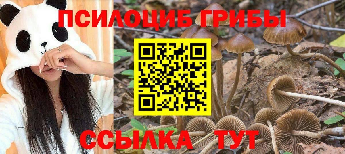 где продают наркотики  Псилоцибиновые грибы прущие грибы  Псилоцибиновые грибы Magic Shrooms  Вход с VPN  Старая Купавна 